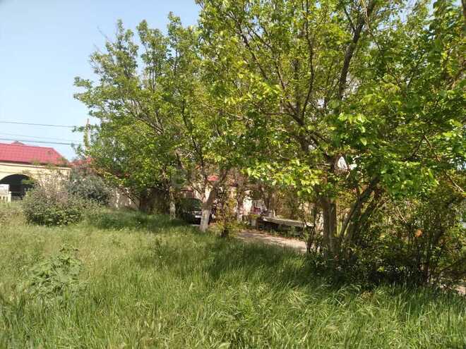 9 otaqlı həyət evi/bağ evi - Nardaran q. - 500 m² (10)