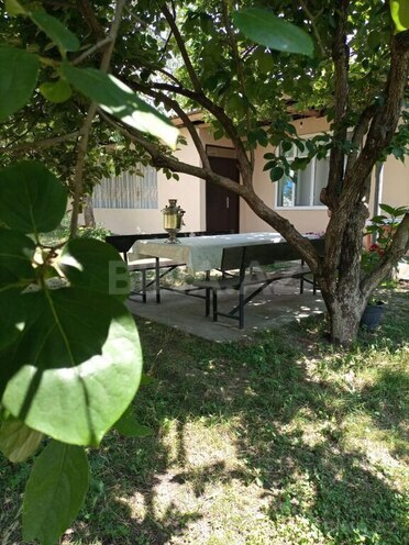 2 otaqlı həyət evi/bağ evi - Qəbələ - 70 m² (4)