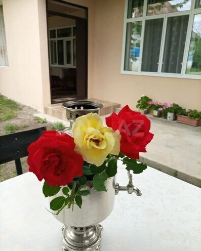 2 otaqlı həyət evi/bağ evi - Qəbələ - 70 m² (2)