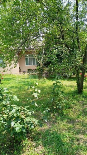 2 otaqlı həyət evi/bağ evi - Qəbələ - 70 m² (3)
