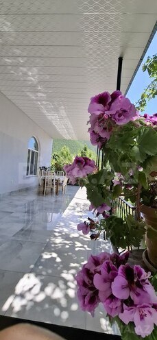 3 otaqlı həyət evi/bağ evi - Şəki - 120 m² (15)