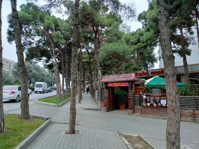 Объект - м. 20 января - 450 м² (4)