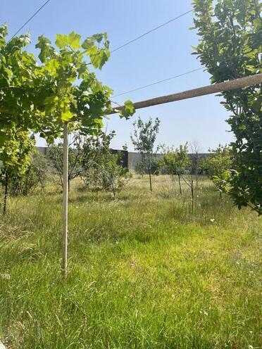 7-комн. дом/дача - пос. Бузовна - 620 м² (9)