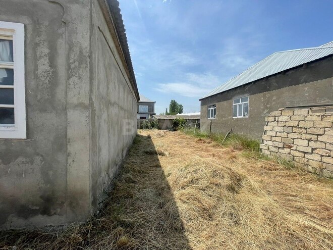 Участок - Хачмаз - 70 сот (2)