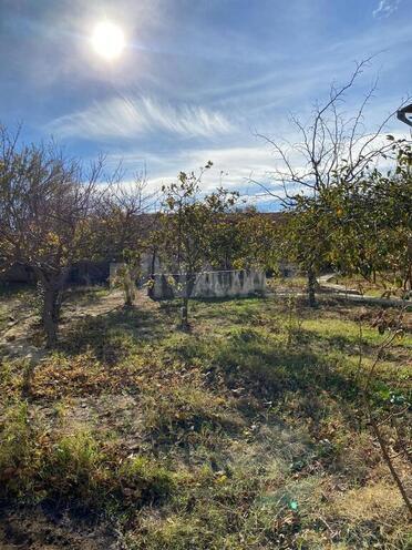 5 otaqlı həyət evi/bağ evi - Novxanı q. - 168 m² (4)