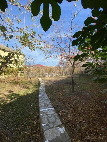 5 otaqlı həyət evi/bağ evi - Novxanı q. - 168 m² (3)
