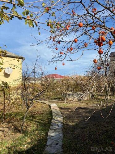 5 otaqlı həyət evi/bağ evi - Novxanı q. - 168 m² (5)