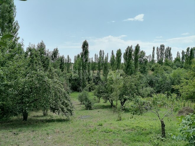 4 otaqlı həyət evi/bağ evi - Qusar - 140 m² (25)