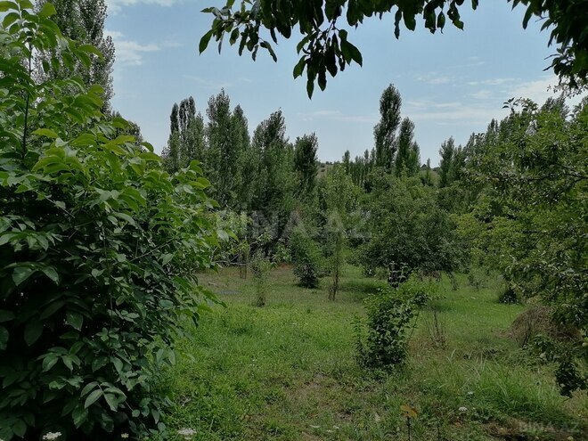 4 otaqlı həyət evi/bağ evi - Qusar - 140 m² (16)
