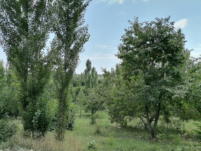 4 otaqlı həyət evi/bağ evi - Qusar - 140 m² (20)