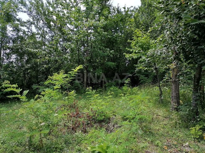 4 otaqlı həyət evi/bağ evi - Qusar - 140 m² (19)