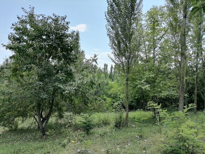 4 otaqlı həyət evi/bağ evi - Qusar - 140 m² (21)