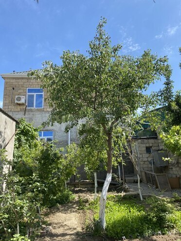 5 otaqlı həyət evi/bağ evi - Sumqayıt - 150 m² (24)