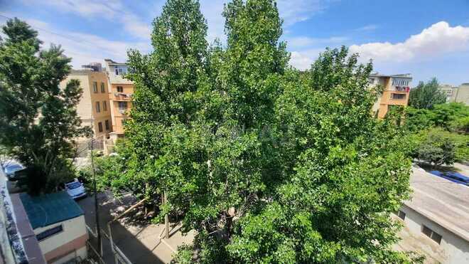 4-комн. вторичка - м. Мемар Аджеми - 120 м² (12)