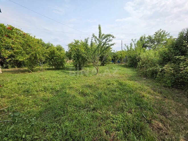 Torpaq - Ağdaş - 12 sot (4)