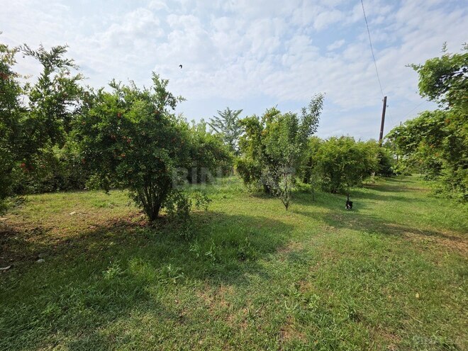 Torpaq - Ağdaş - 12 sot (2)