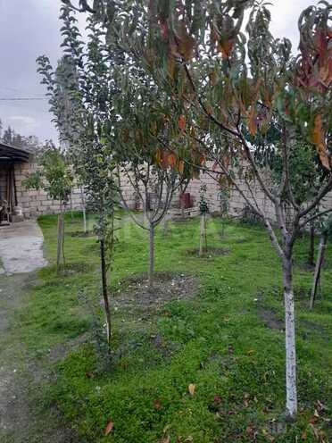 3-комн. дом/дача - Шемаха - 400 м² (14)