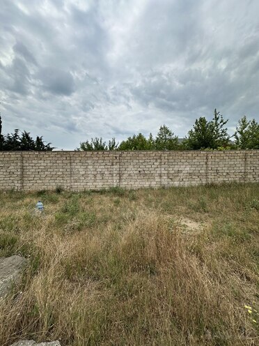 Участок - пос. Шувеляны - 3 сот (10)