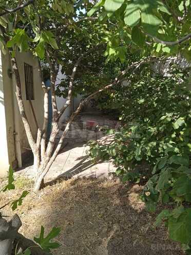 5 otaqlı həyət evi/bağ evi - Badamdar q. - 300 m² (5)