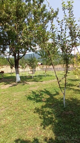3 otaqlı həyət evi/bağ evi - Qəbələ - 140 m² (3)