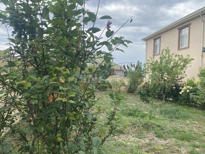 Satılır 5 otaqlı həyət evi/bağ evi 112 m², Nabran r., photo 14 from 32