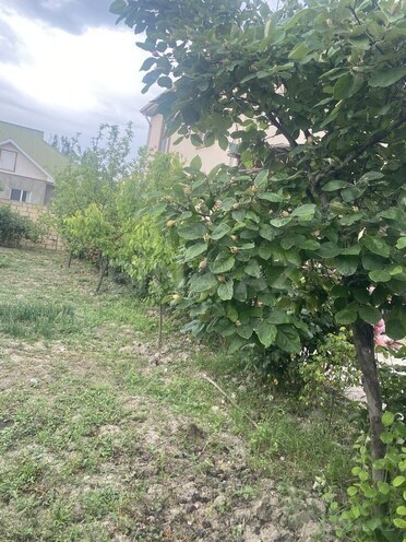 Satılır 5 otaqlı həyət evi/bağ evi 112 m², Nabran r., photo 16 from 32