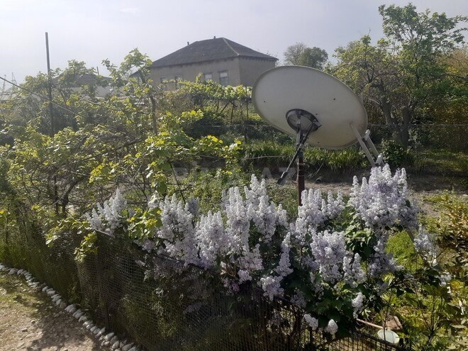 8 otaqlı həyət evi/bağ evi - Şabran - 120 m² (4)