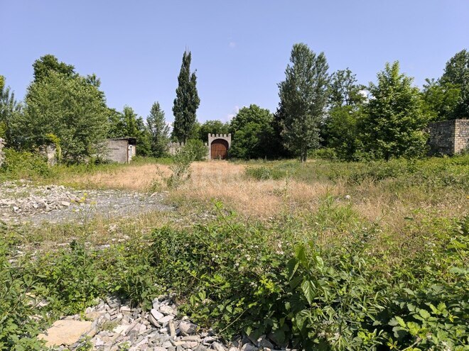 Участок - Исмаиллы - 85 сот (23)