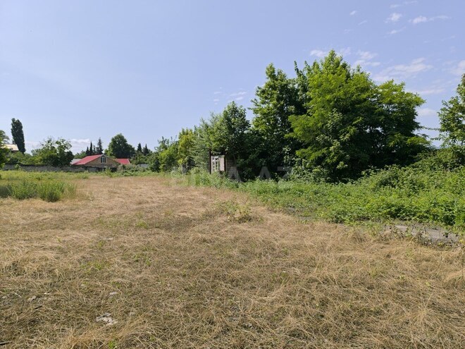 Участок - Исмаиллы - 85 сот (1)