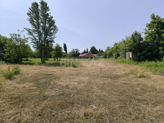 Участок - Исмаиллы - 85 сот (10)