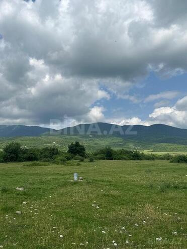 Участок - Исмаиллы - 400 сот (5)