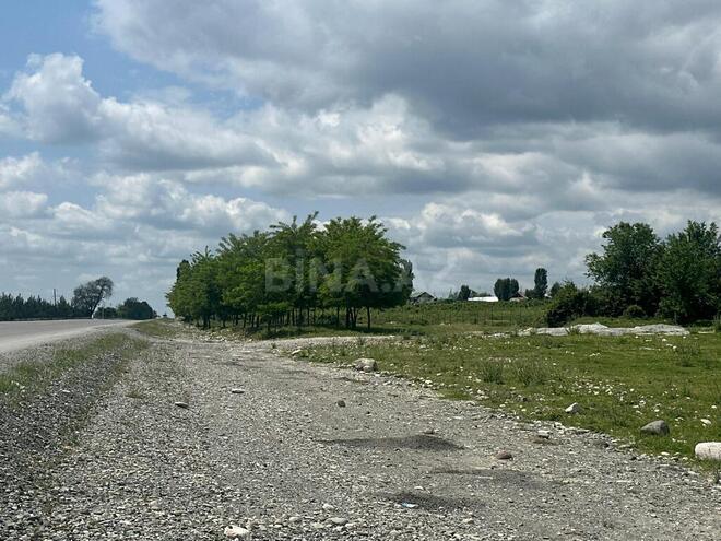 Участок - Исмаиллы - 400 сот (7)