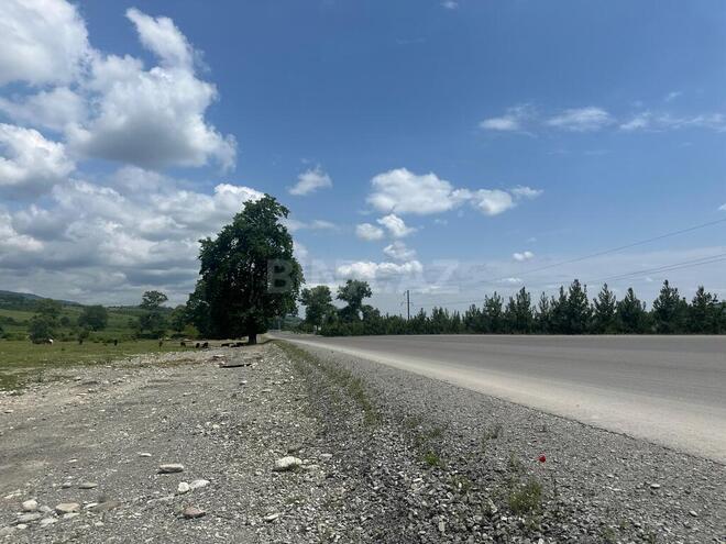 Участок - Исмаиллы - 400 сот (6)