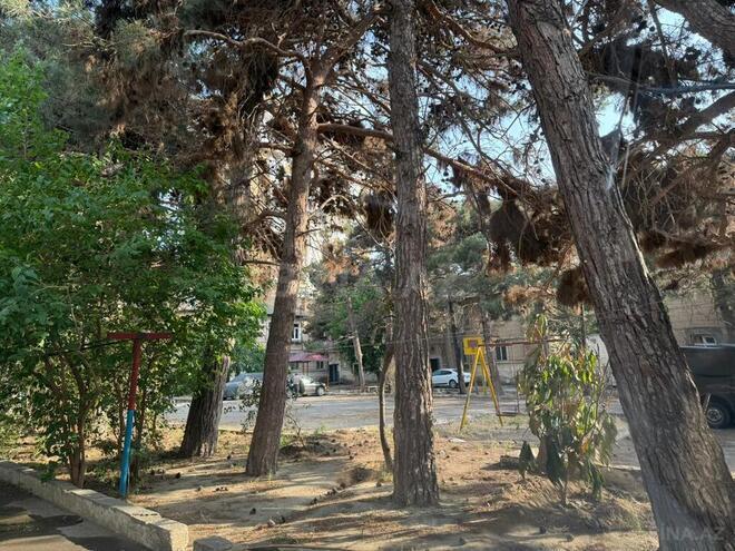 5-комн. вторичка - м. Кара Караев - 200 м² (21)