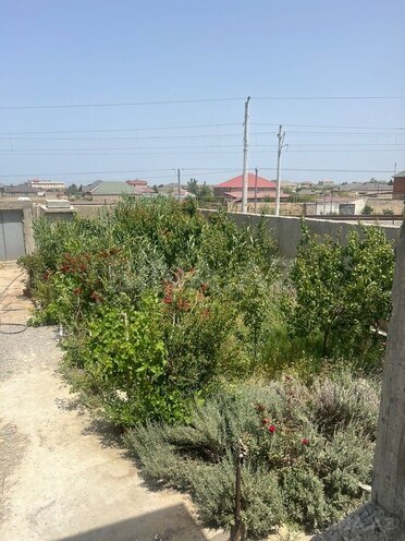 6 otaqlı həyət evi/bağ evi - Kürdəxanı q. - 350 m² (1)