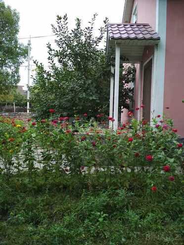 3 otaqlı həyət evi/bağ evi - Qəbələ - 110 m² (4)