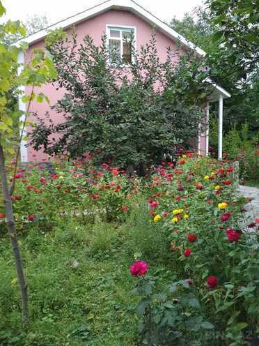 3 otaqlı həyət evi/bağ evi - Qəbələ - 110 m² (2)