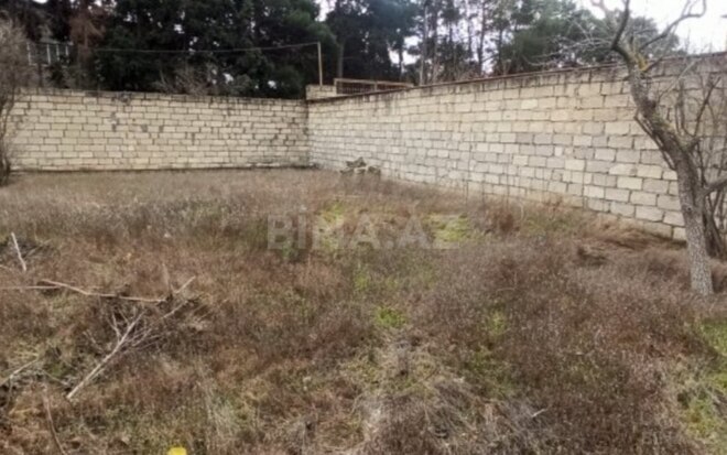 Участок - пос. 8-й километр - 6 сот (1)