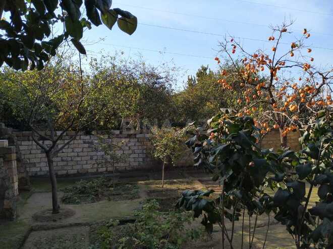 4 otaqlı həyət evi/bağ evi - Azadlıq Prospekti m. - 165 m² (2)
