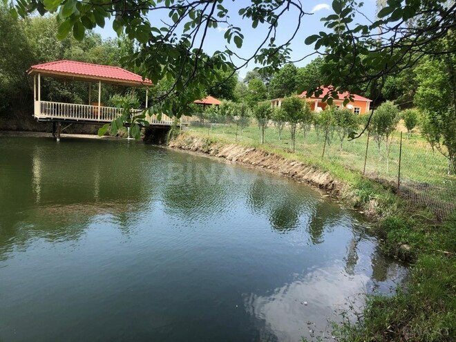 5 otaqlı həyət evi/bağ evi - Naxçıvan MR - 140 m² (5)