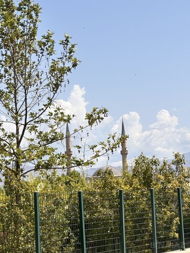 5 otaqlı həyət evi/bağ evi - Naxçıvan MR - 140 m² (3)