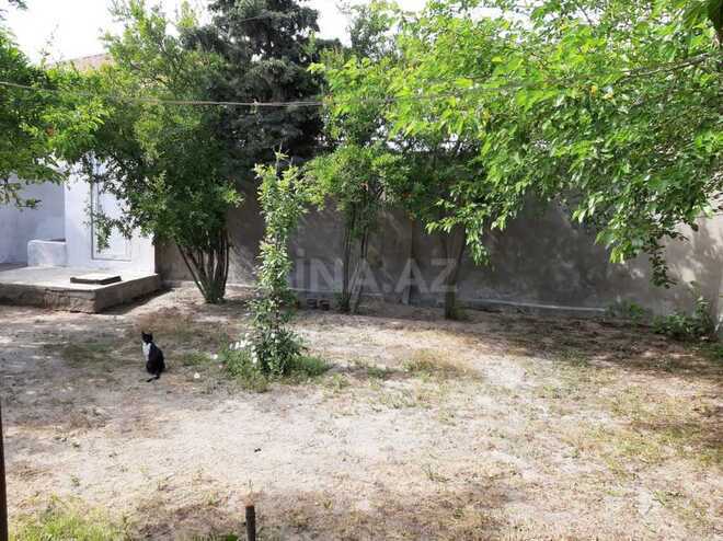 5 otaqlı həyət evi/bağ evi - Pirşağı q. - 100 m² (15)