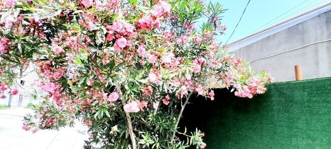 2 otaqlı həyət evi/bağ evi - Biləcəri q. - 50 m² (8)