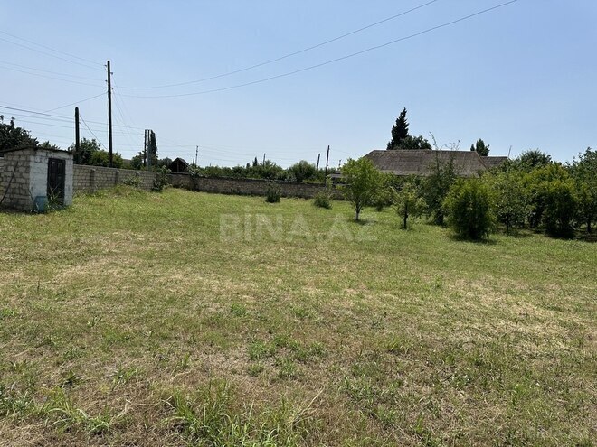 Участок - Агдаш - 25 сот (3)