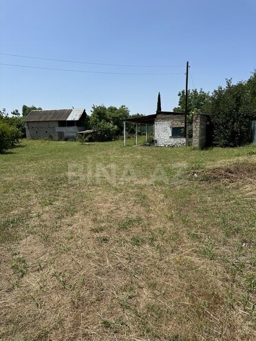 Участок - Агдаш - 25 сот (1)