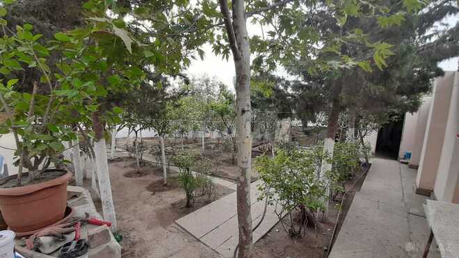 9 otaqlı həyət evi/bağ evi - Biləcəri q. - 326 m² (15)