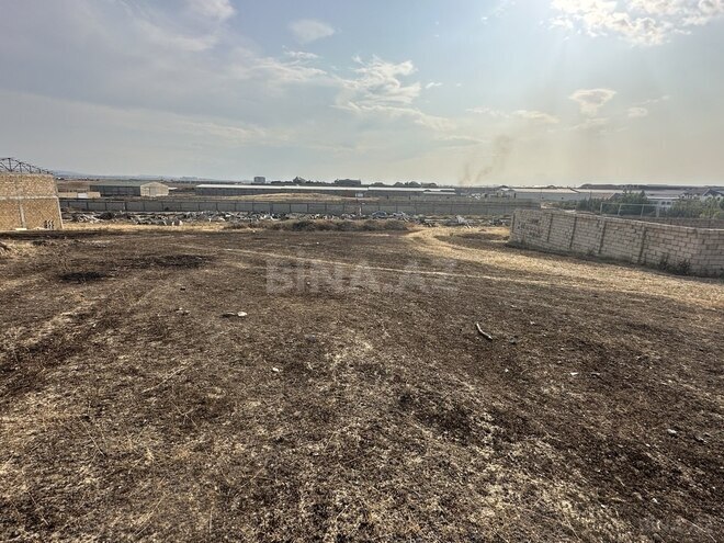 Участок - пос. Новханы - 10 сот (4)