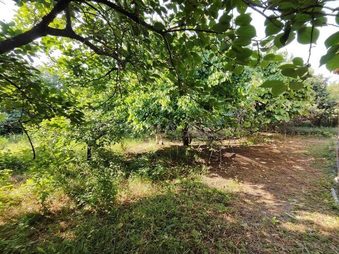 3-комн. дом/дача - Геранбой - 120 м² (5)