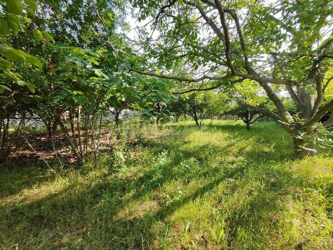 3-комн. дом/дача - Геранбой - 120 м² (4)