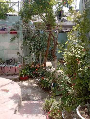 6 otaqlı həyət evi/bağ evi - Memar Əcəmi m. - 100 m² (3)